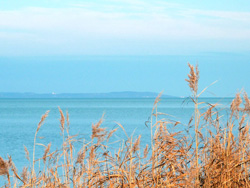 Winter am Balaton