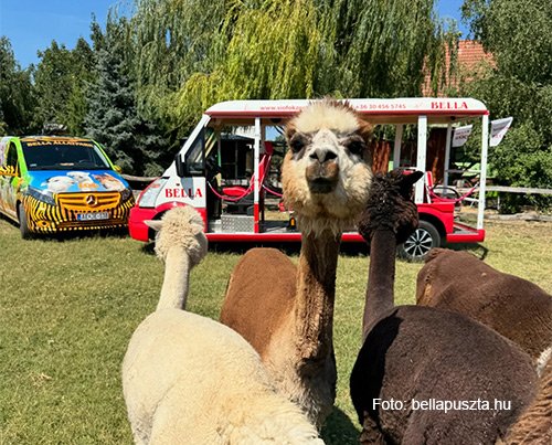 Bella Zoo Park