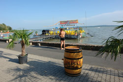 Blick auf den Balaton in Vonyarcvashegy