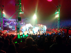 Der Ungarische Nationalzirkus in Balatonlelle