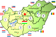 Ungarn Nordliche Tiefebene Debrecen Puszta